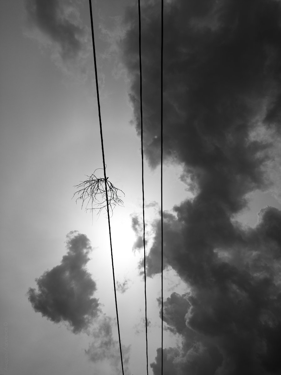 небо, облака, Андрей Ларионов