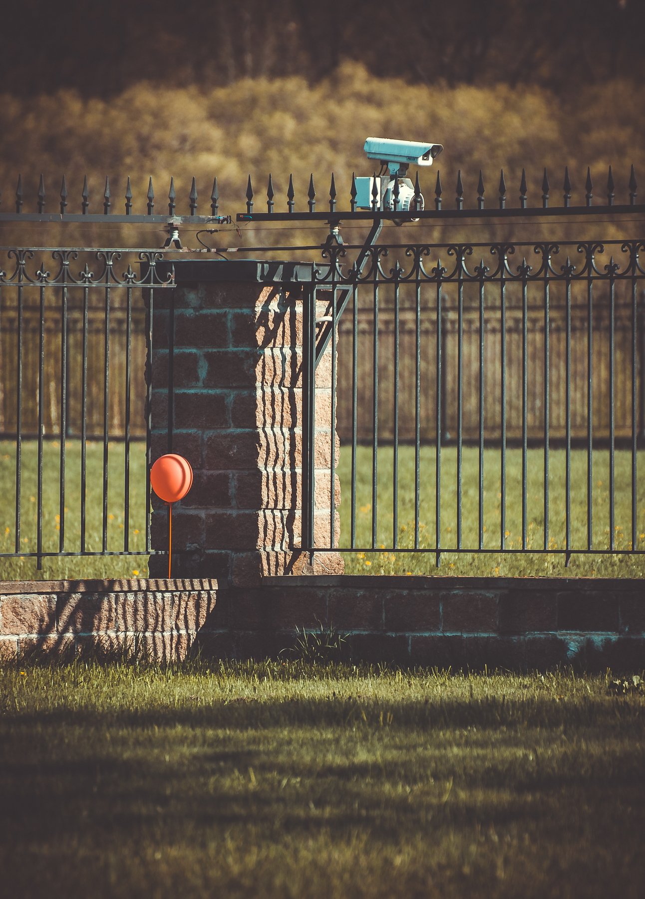 ограда, камера, трава, шар, шарик, шпион, Vladimir Kedrov