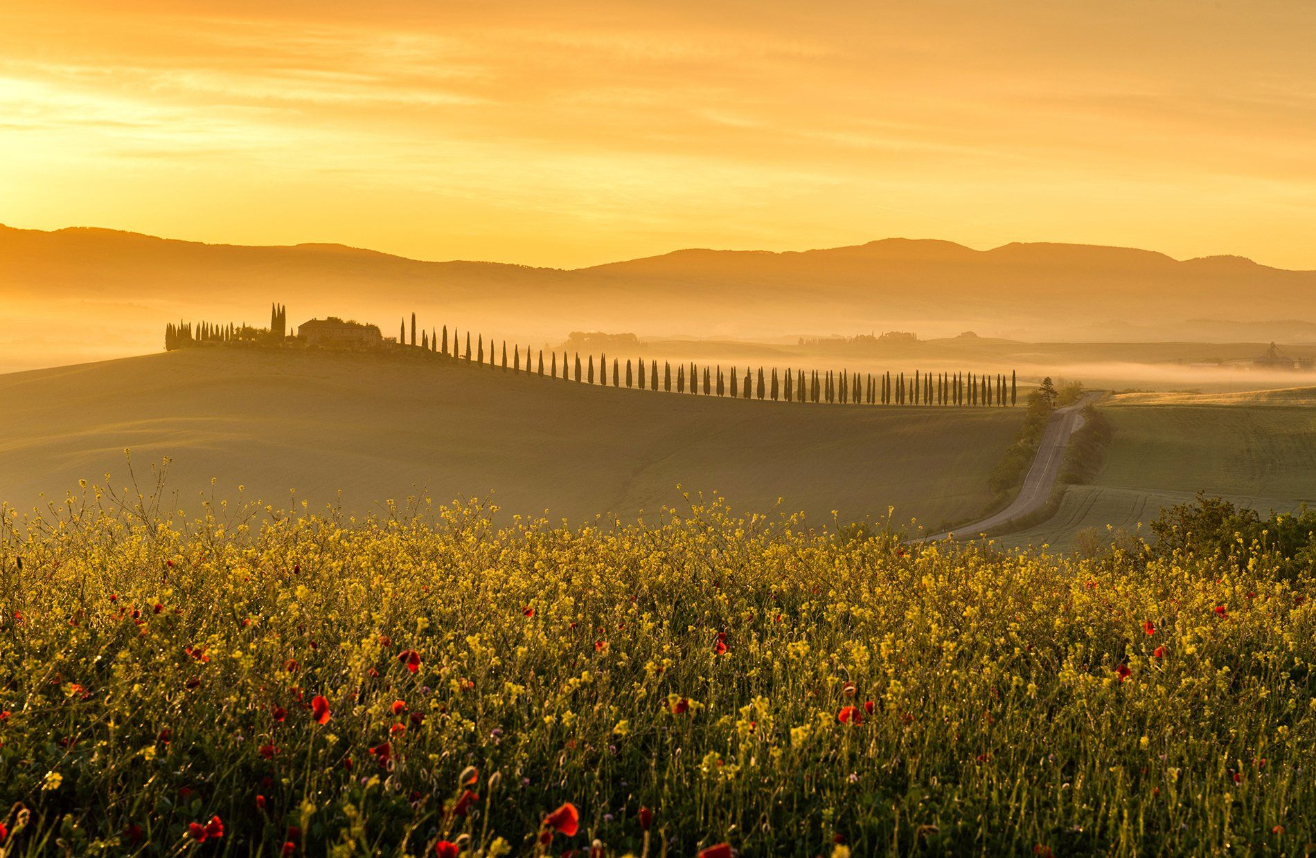 пейзаж италия рассвет тоскана, Ефим Строганов