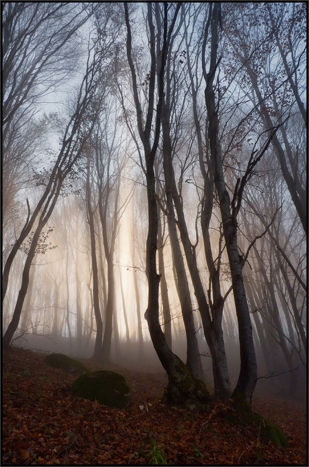 bulgaria, vitosha, Svetoslav