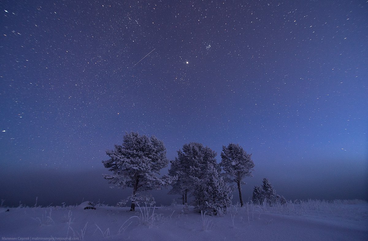 ночь, звезды, небо, зима, зеленоборский, мурманская область, Сергей Малинин