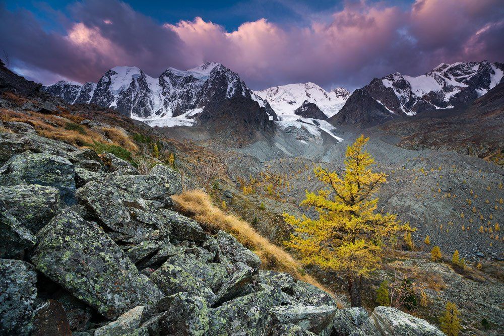 altay, алтай, Александр Ермолицкий