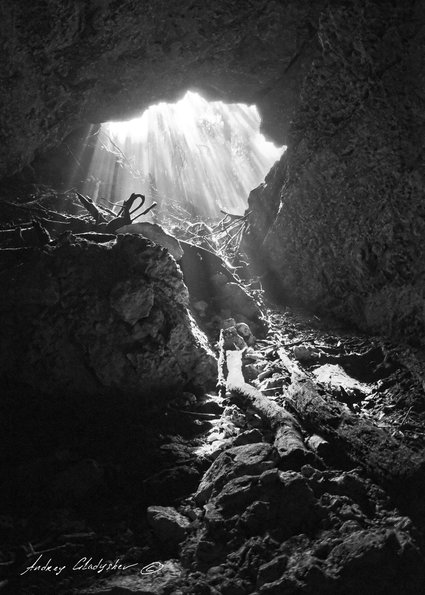 сеноты, мексика, подводная пещера, Andrey Gladyshev