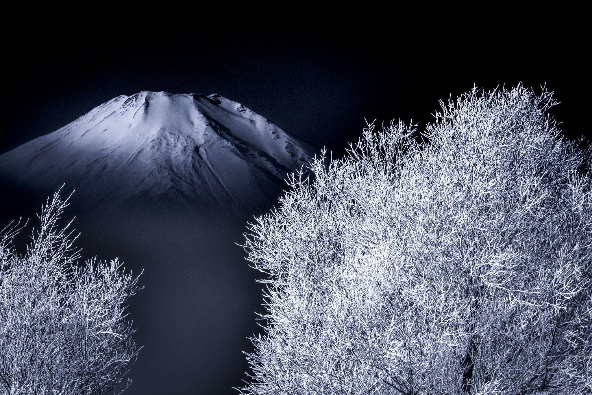 Fuji,Japan,mountain,snow,tree,cool,winter,rime,ice, Takashi