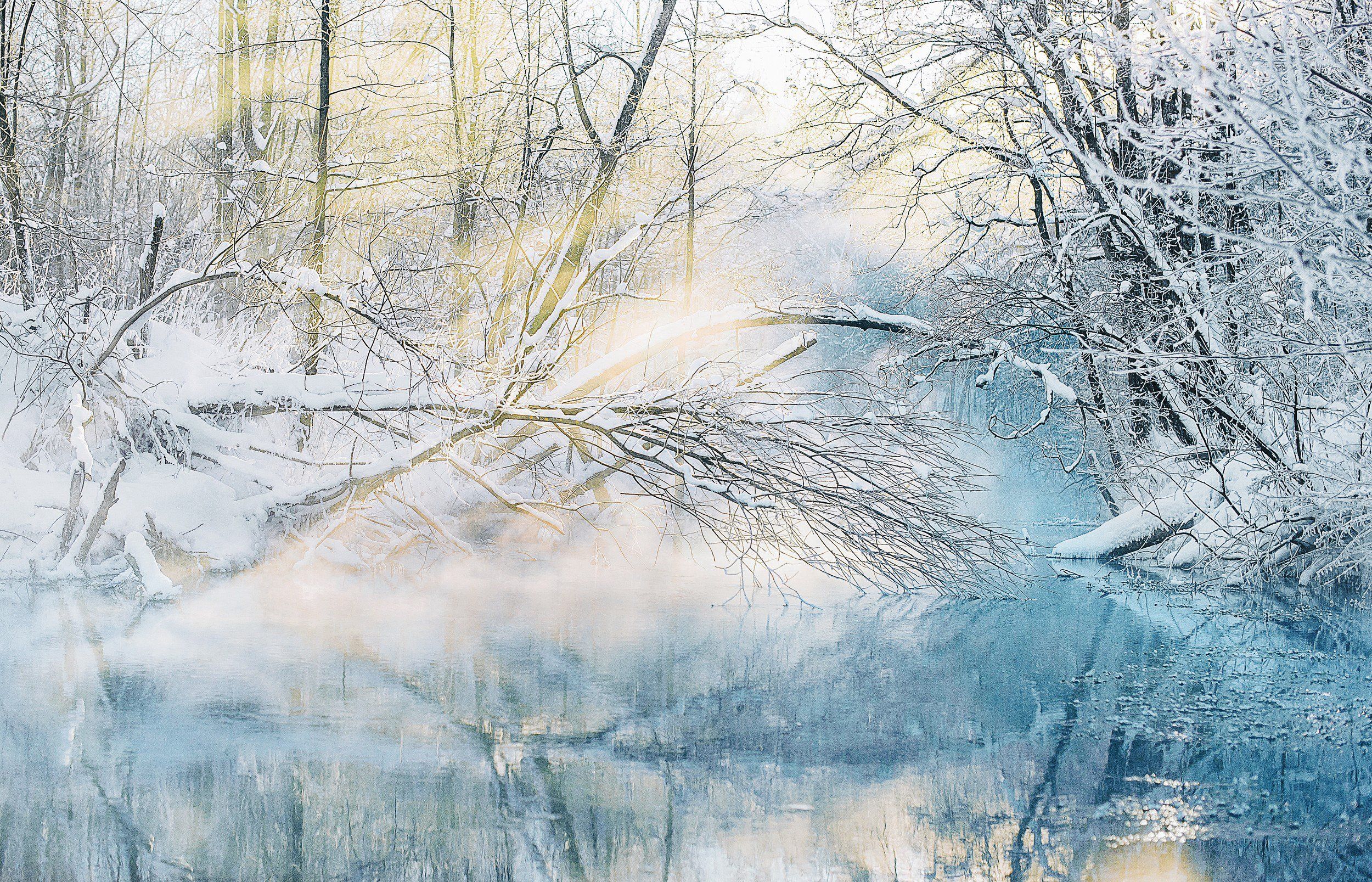 зеленый ключ, Марий Эл, рассвет, зимний пейзаж, незамерзающие ключи, Светлана Степанова