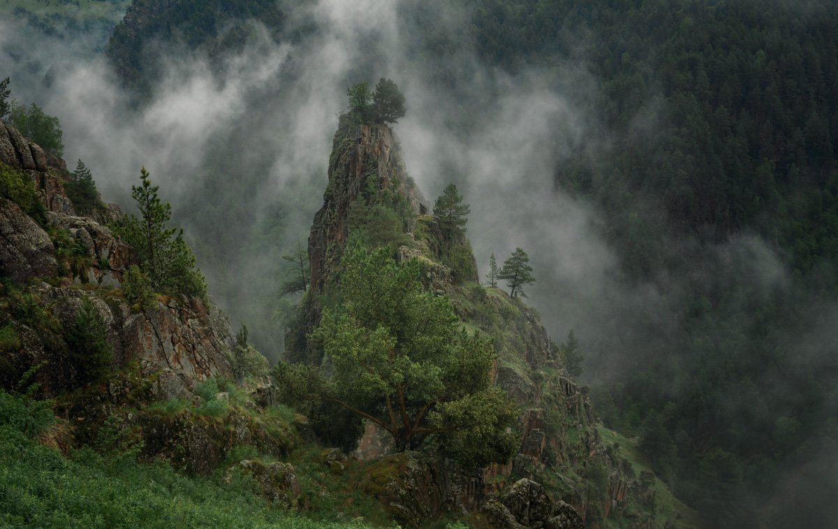 горы, ущелье, кбр, природа, кавказ, пейзаж, туман,, Алиева Татьяна