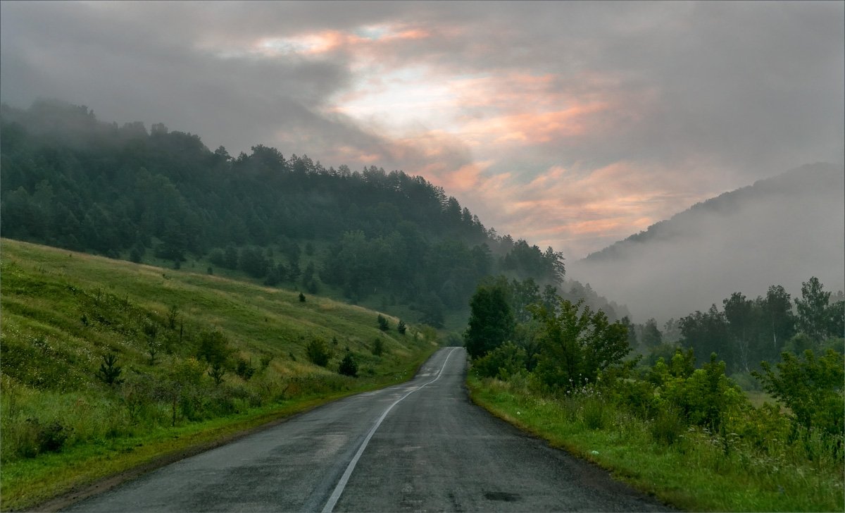 пейзаж туман дорога, Александр Гусаков