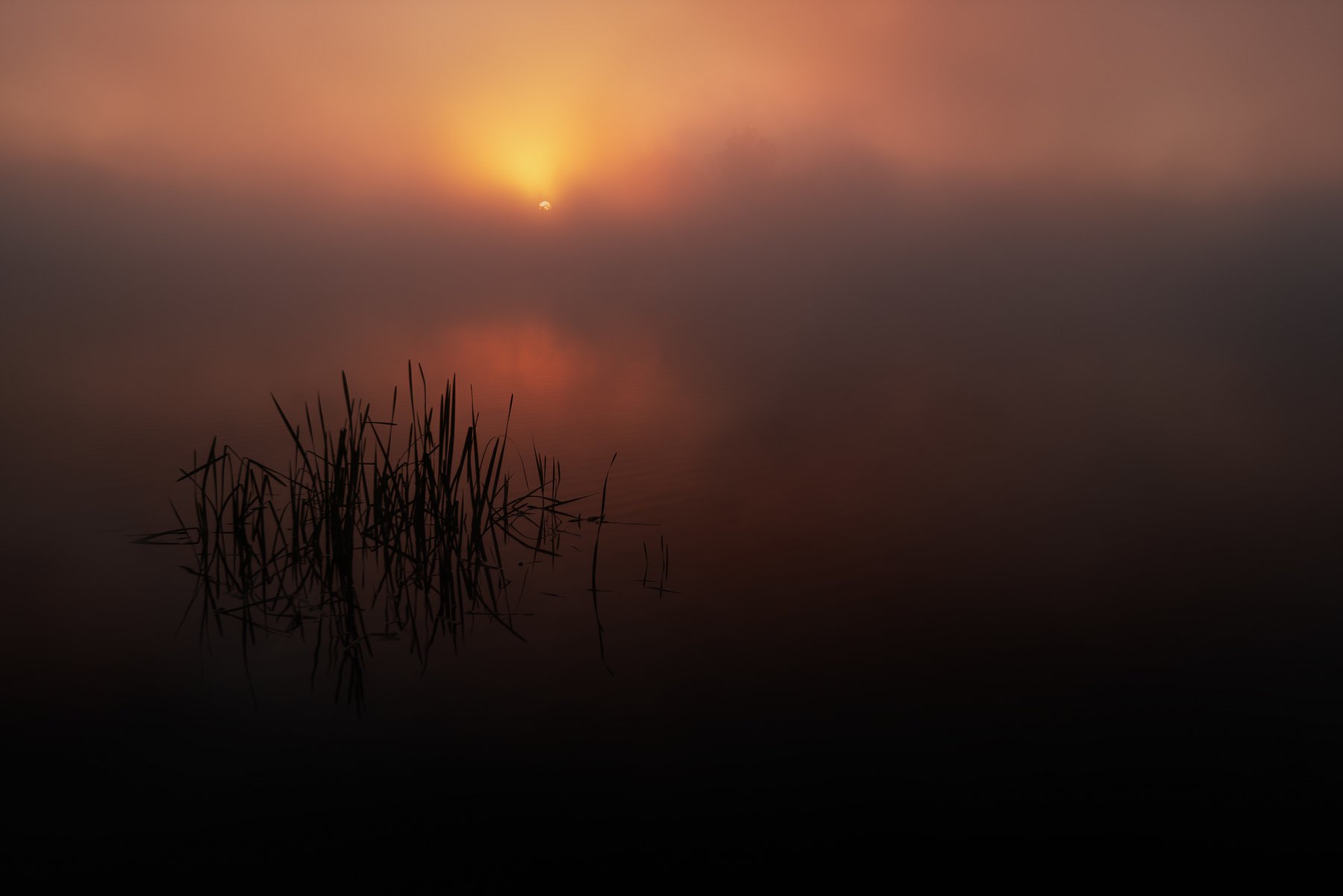 morning, fog, sky, sunrise, Milan Samochin