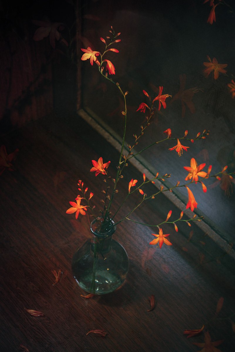 ваза, цветы, оранжевые, зеркало, стол, деревянный, Игорь Токарев