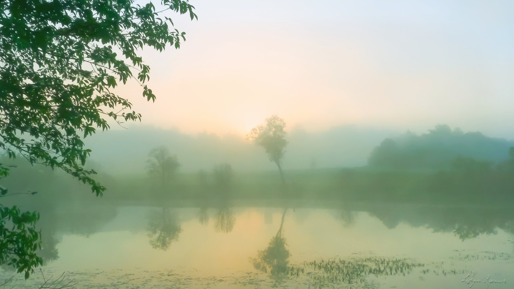 пейзаж, туман, утро, над водой, Лидия Киприч