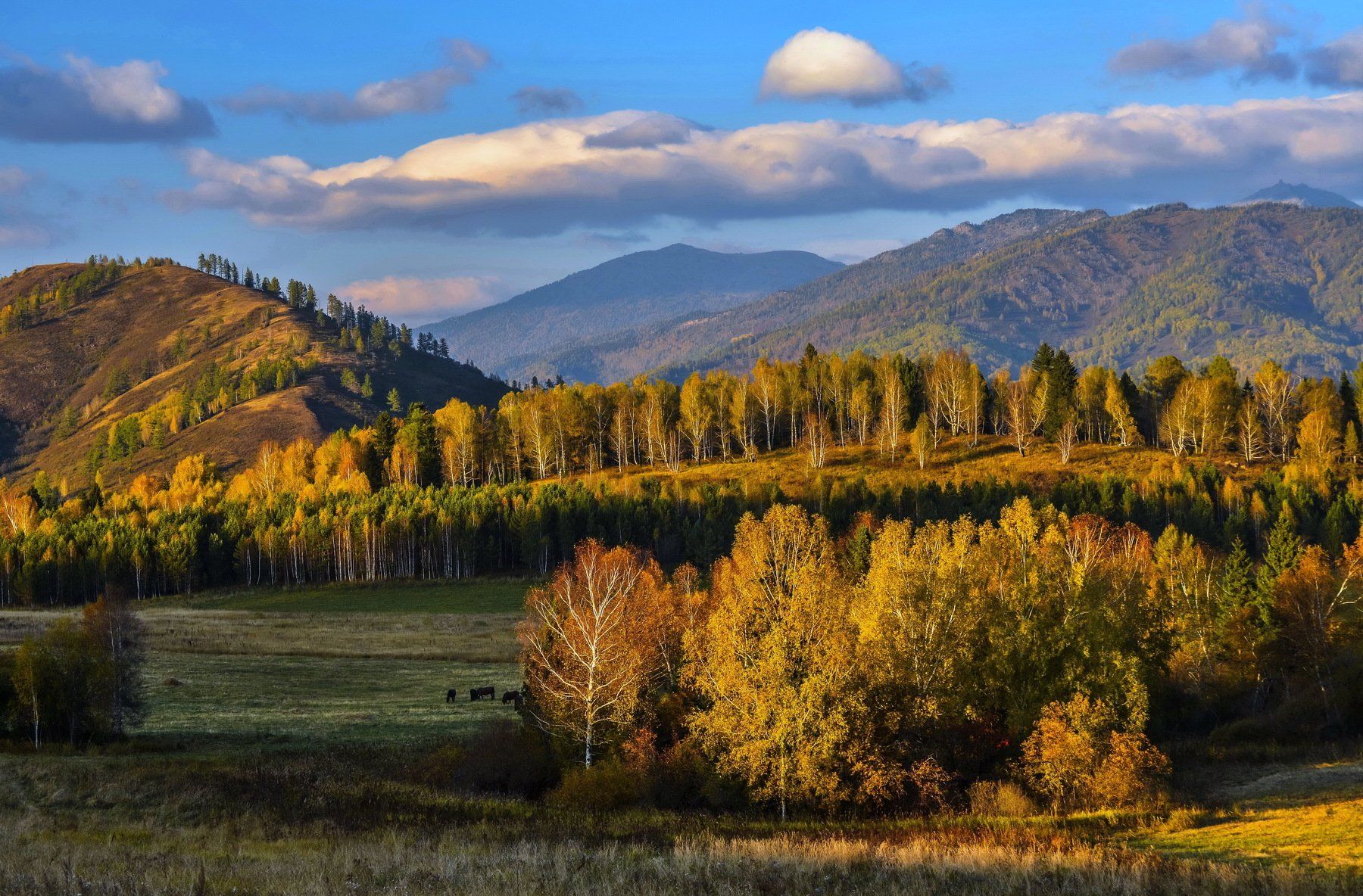 Осень в горах Казахстана