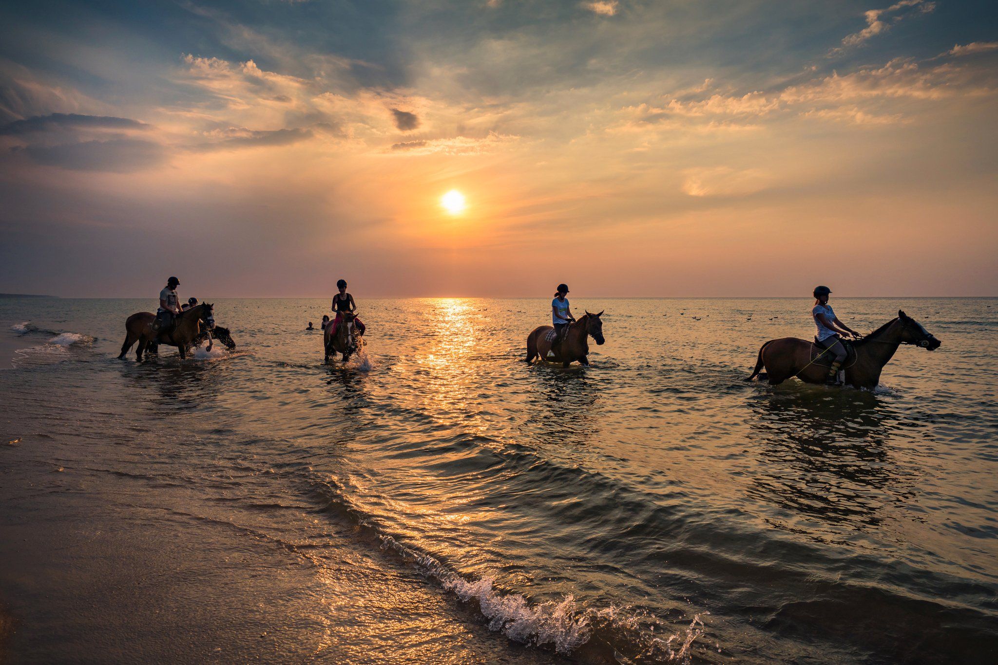 horse bath in the sunset sea baltic water sun clouds sky nature beach dranikowski beautiful waves, Radoslaw Dranikowski
