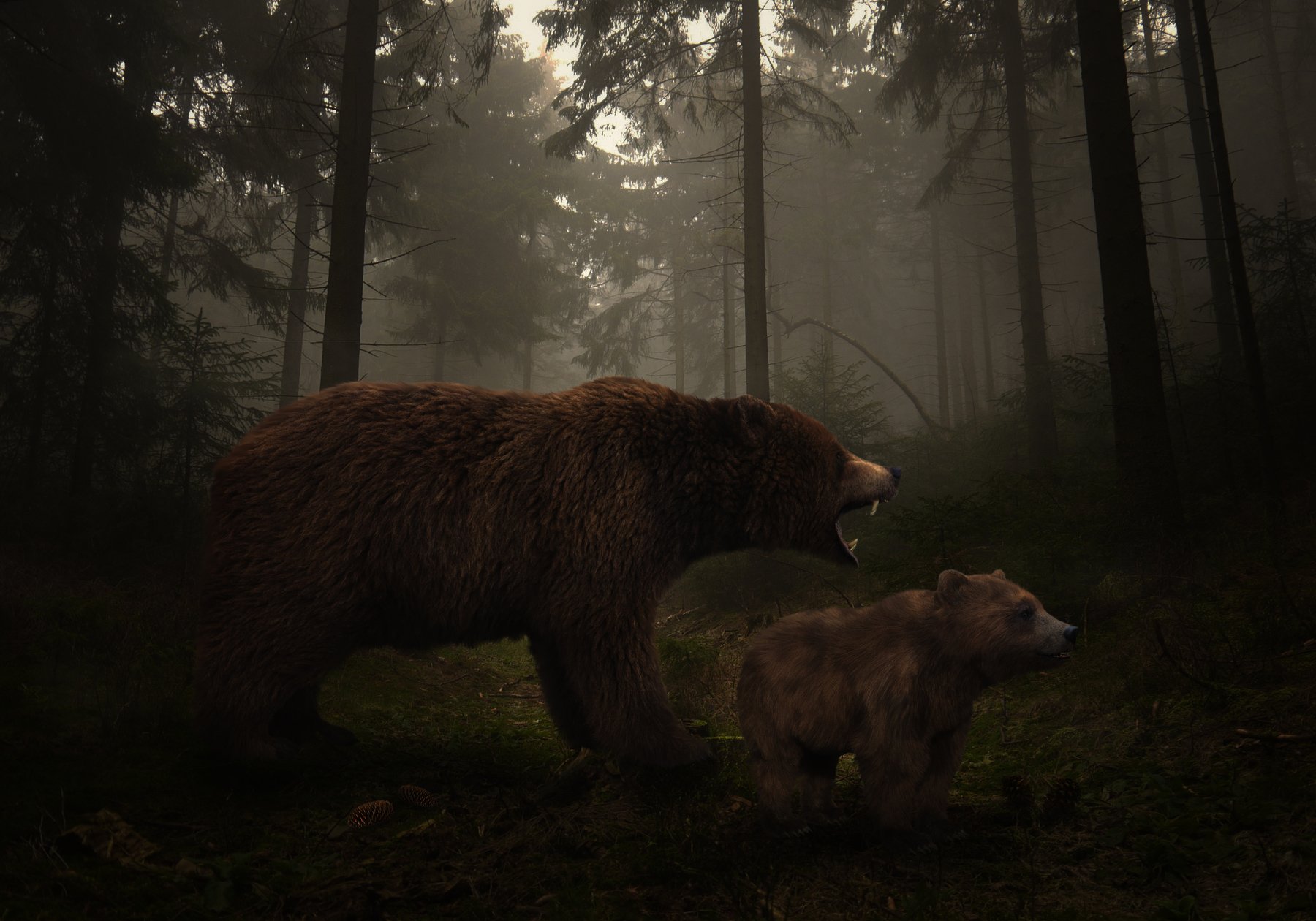 лес, медведи, Sergii Vidov