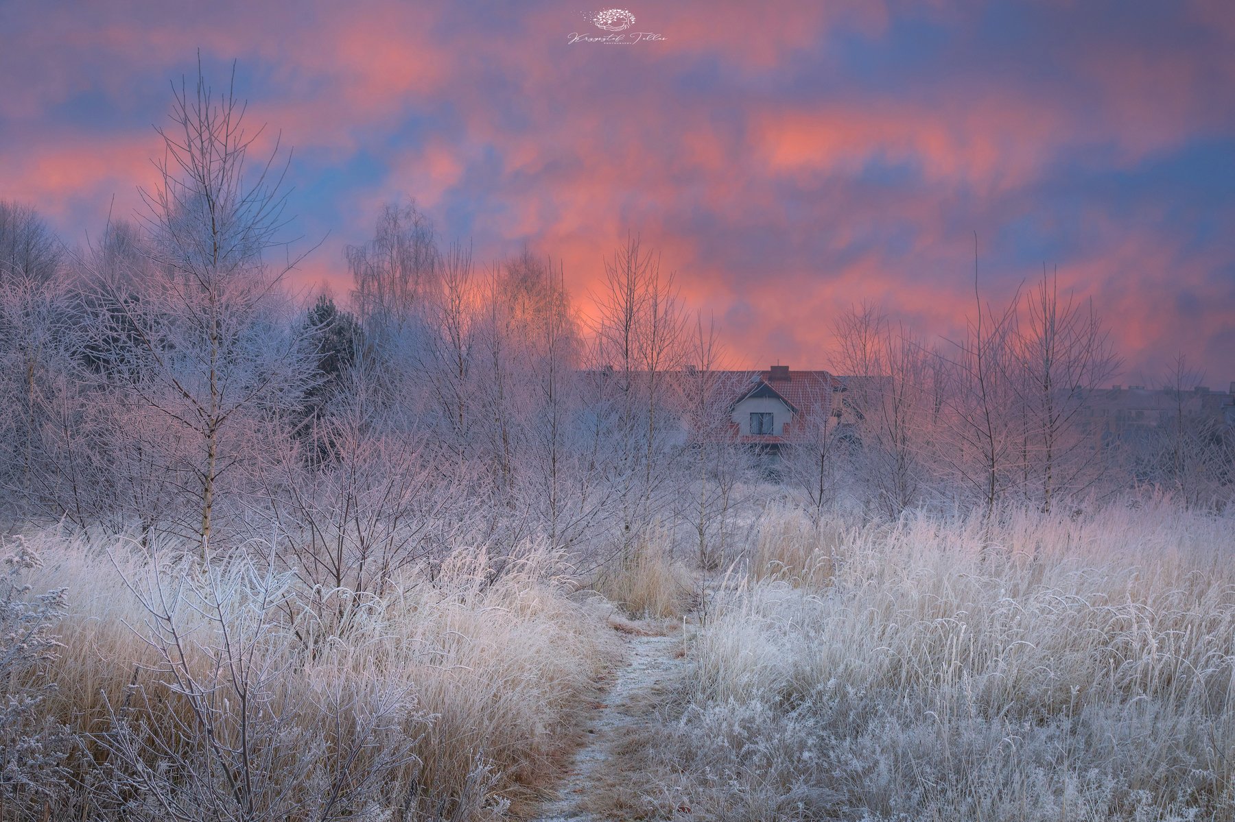 ground frost, landscape, nature, light, dawn, clouds, sky, nikon,, Krzysztof Tollas