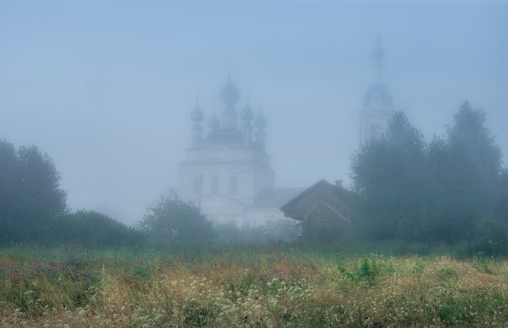 савинское, пейзаж, храм, природа,утро, Виталий Левыкин