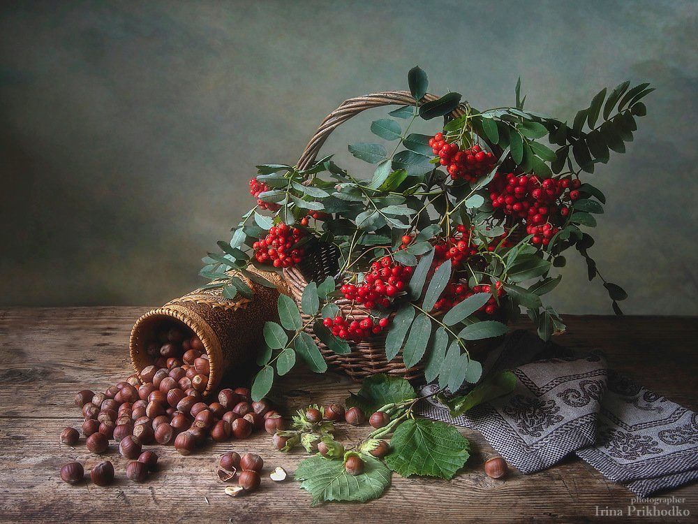 натюрморт, август, урожай, орехи, рябина, художественное фото, Ирина Приходько