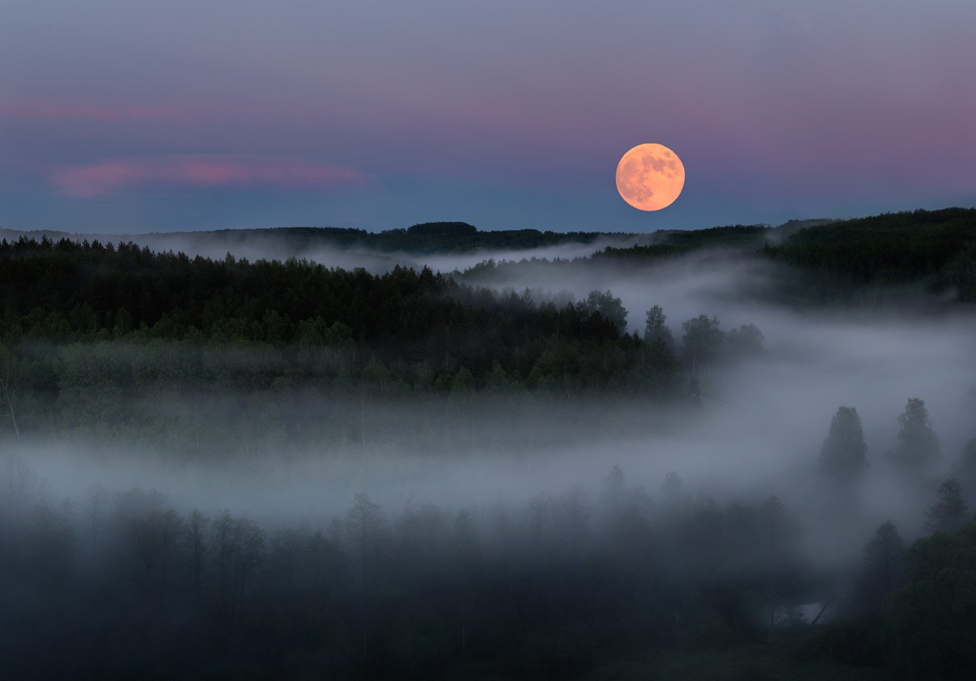 туман, вечер, природа, Баранов Олег