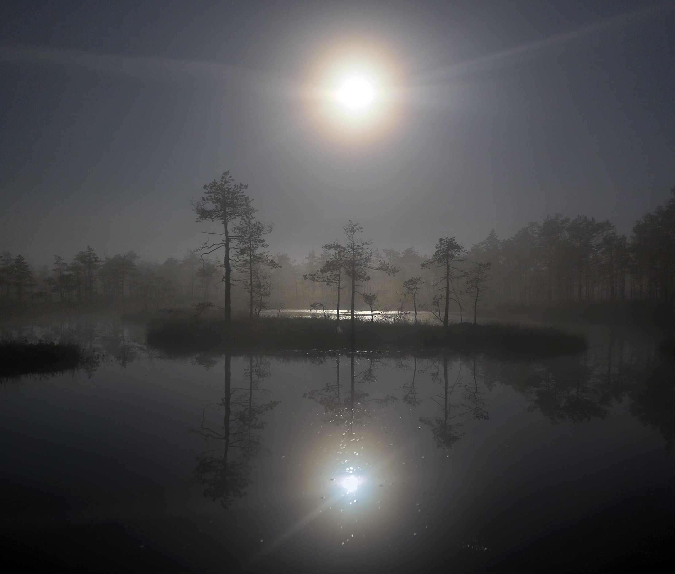 болото, кайф, луна ,север ,солнце, свет, туман, отражение, фототур, Павел Ващенков