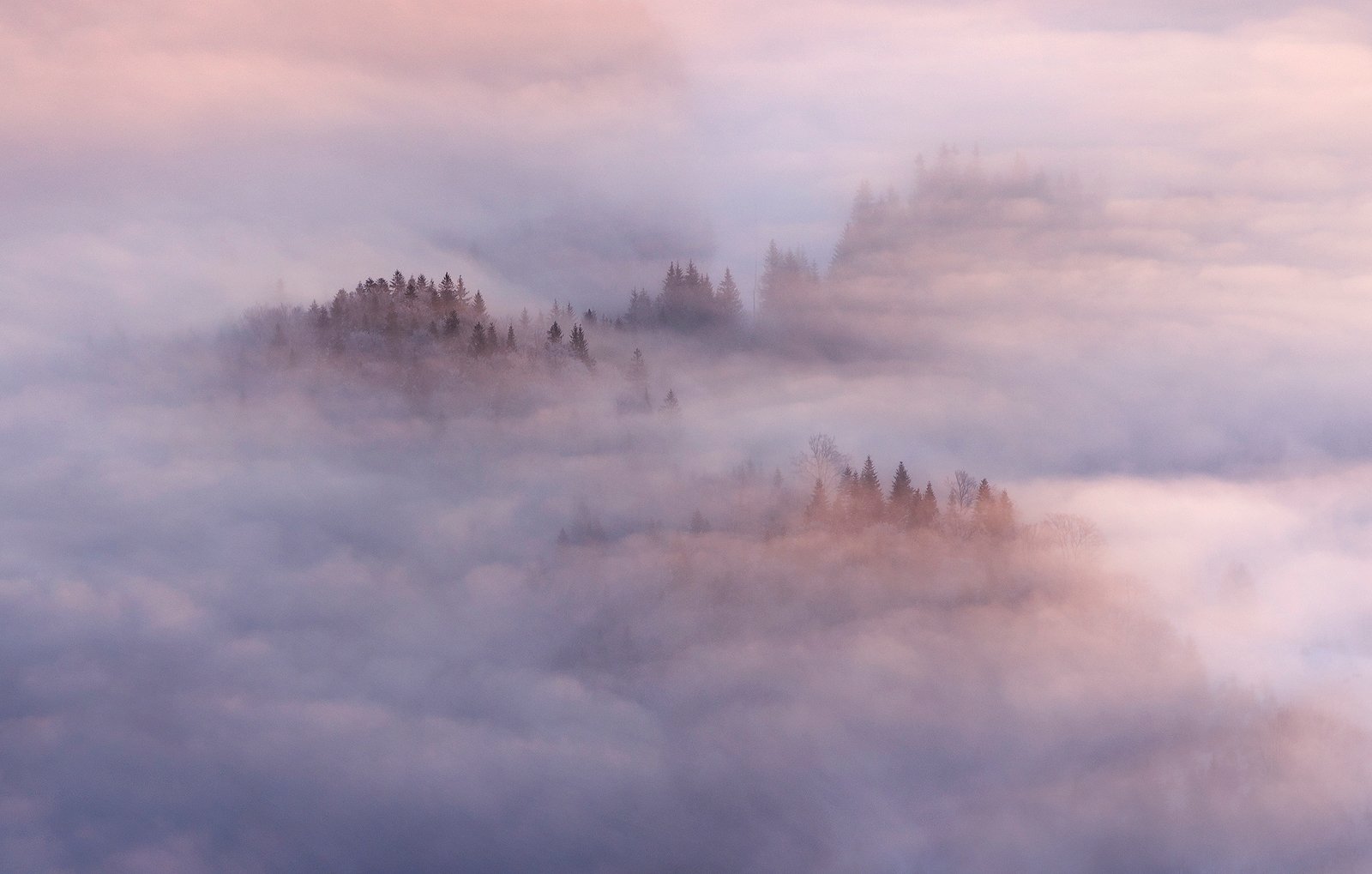 winter, trees, fog, snow, landscape, travel, nature, mountain, romania, cold, morning, Lazar Ioan Ovidiu