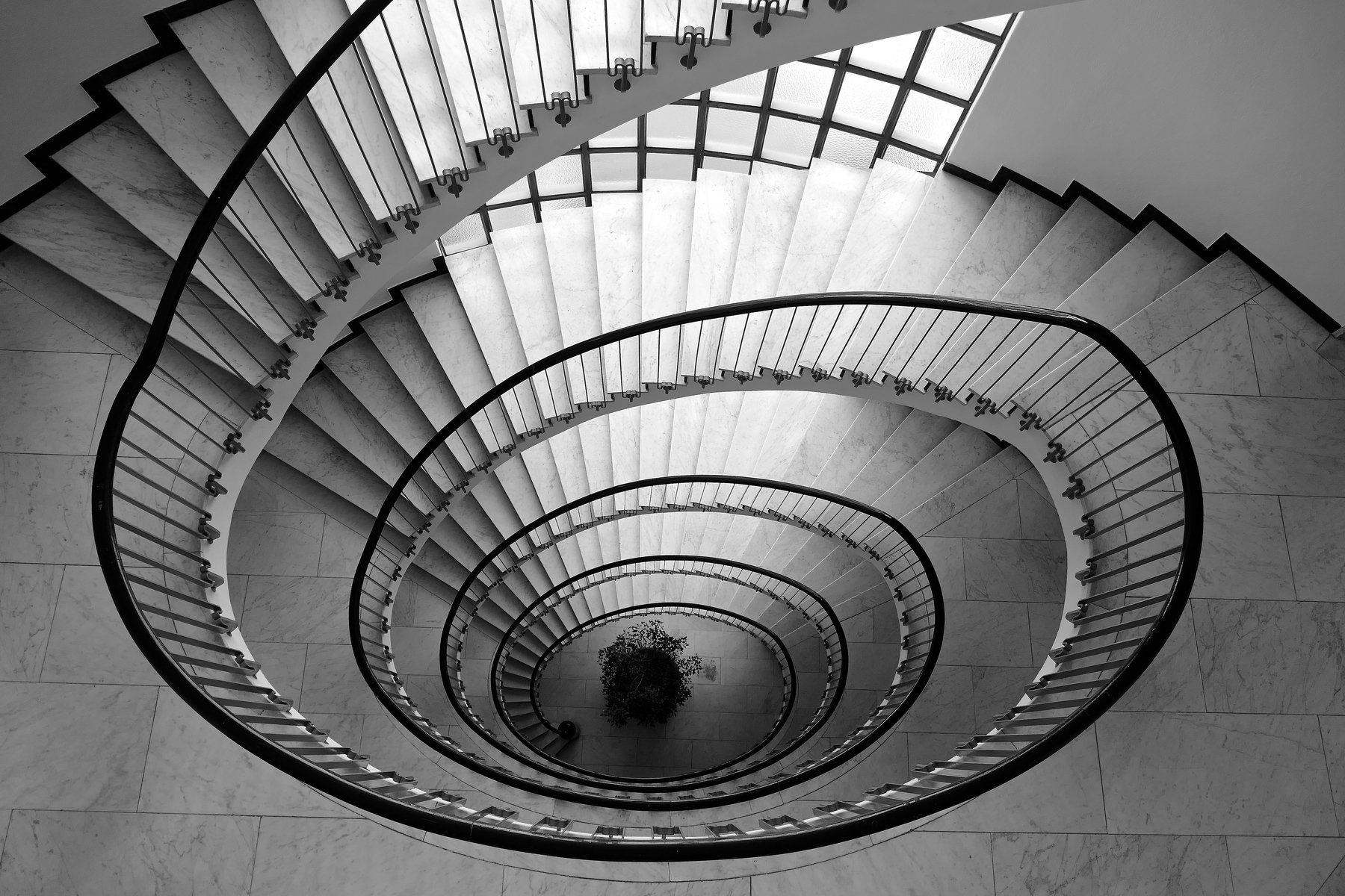 black&white, architecture, spiral, Switzerland, staircase, lines, light, , Svetlana Povarova Ree