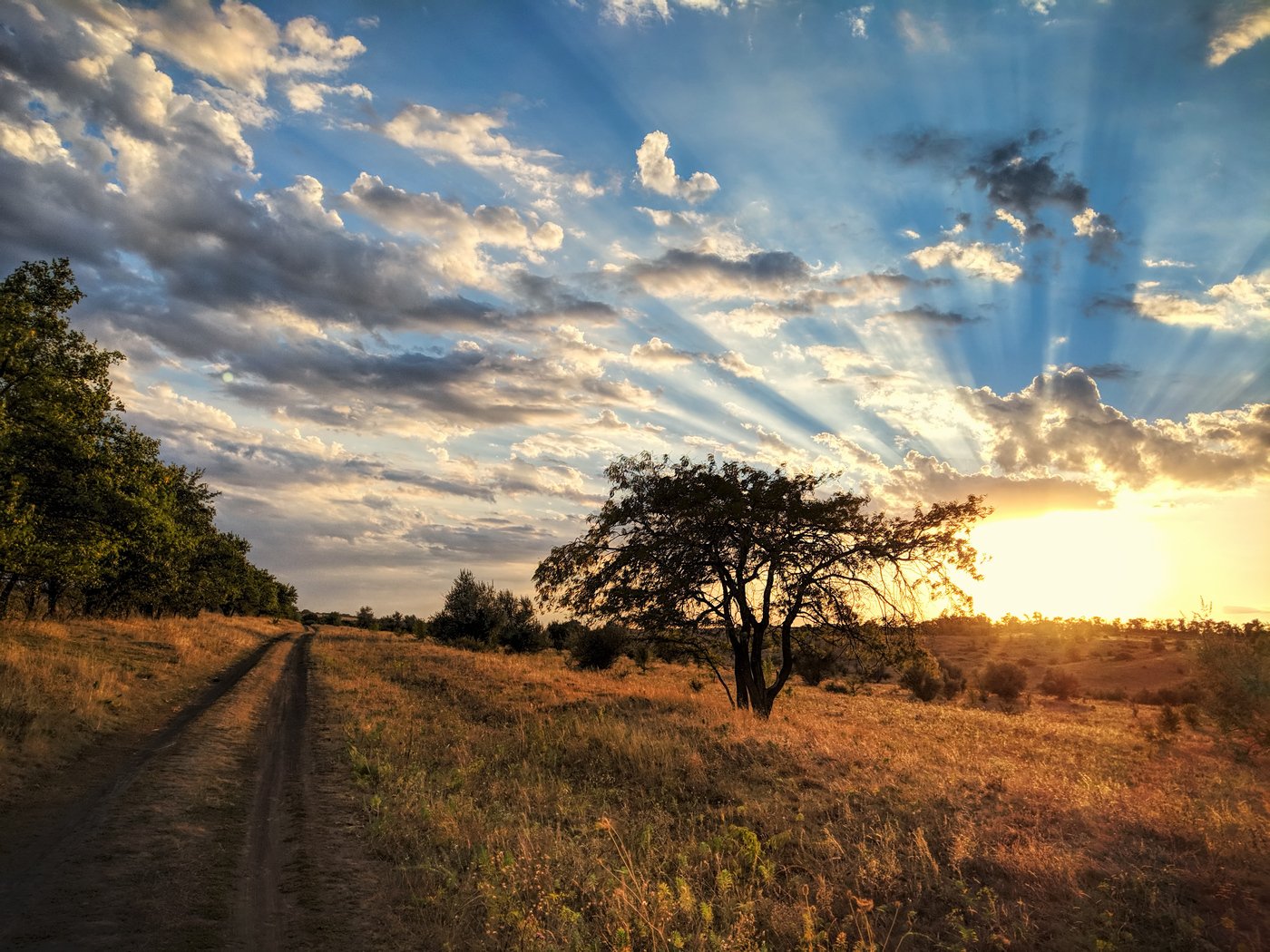 пейзаж,небо,лучи,солнце,landscape,сентябрь,вечер,дорога,road,sky,краски,облака,вид,, Сергей Богачёв