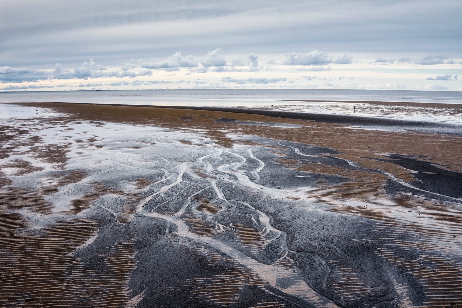Белое море берег после отлива