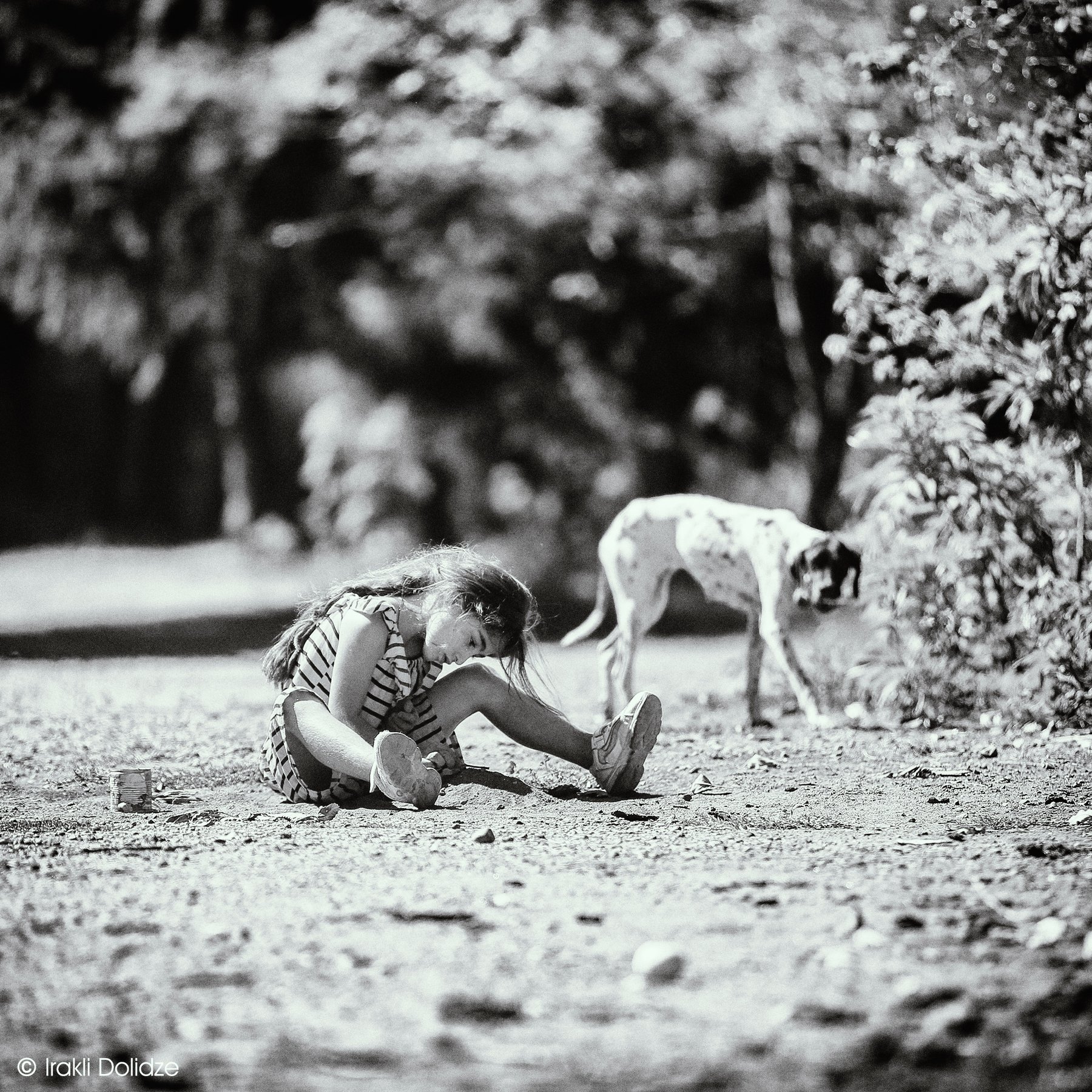 black and white, b&w, girl, dog, hungry, playing time, outdoor, ირაკლი დოლიძე