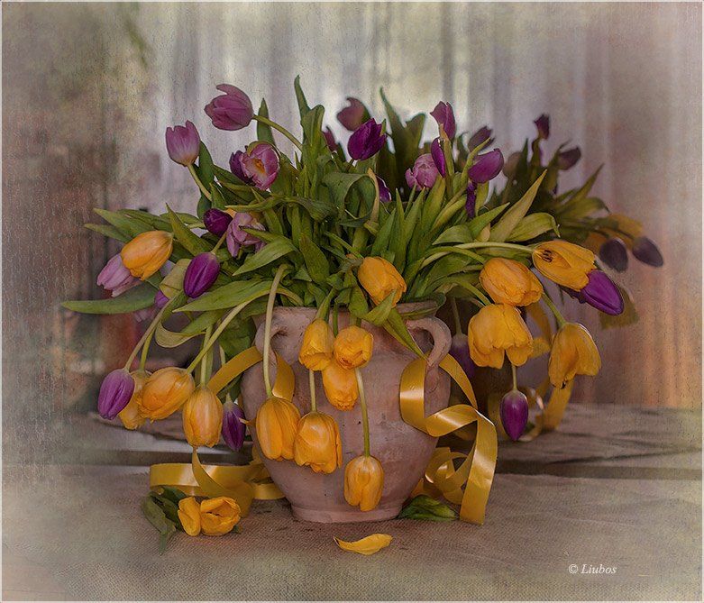 foto liubos, натюрморт, тюльпаны, Любовь Селиванова