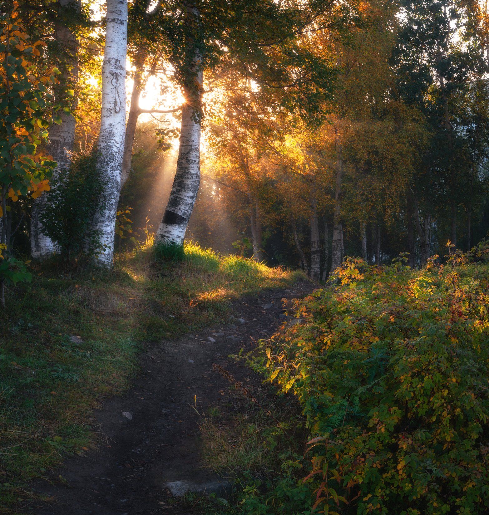 пейзаж,апатиты,россия,кольский север,свет,осень,тропинка,панорама,nikon, Виталий Истомин