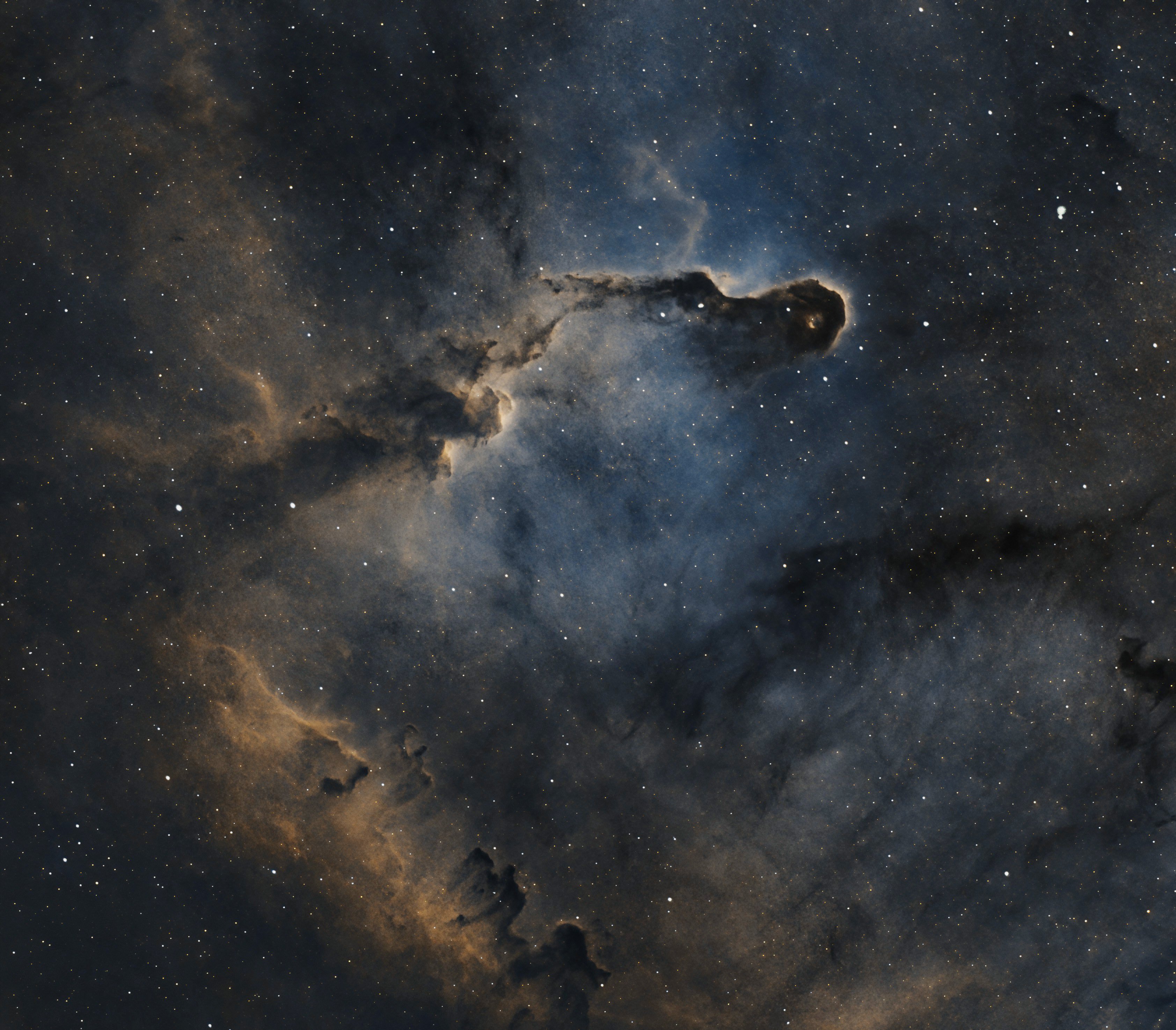 elephant trunk, nebula, astrophoto, astro, space, stars, Jarkko Järvinen