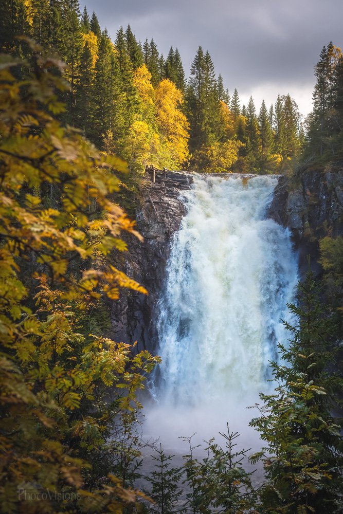 forest,waterfall,norway,woodland,water,norwegian,storfossen,autumn,autumnal, Adrian Szatewicz