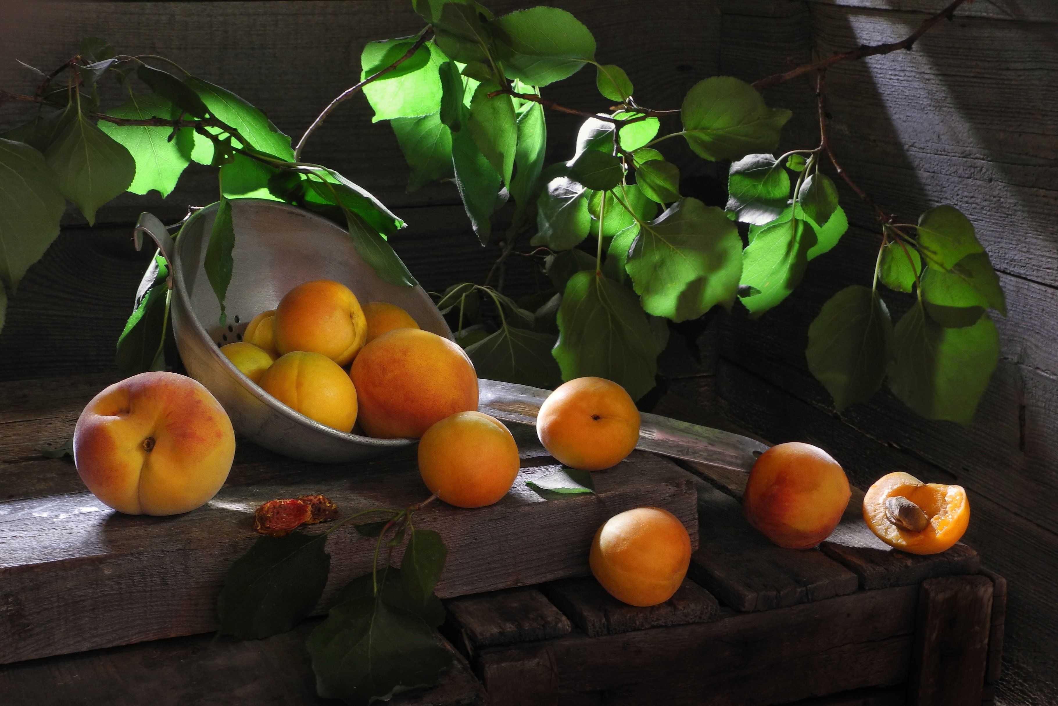 Абрикос и персик фото. Абрикос красноплодный. Нектарин и абрикос. Абрикос оранжевый "Лескоре". Натюрморт с персиком.