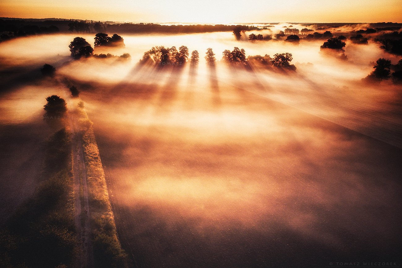 drone, poland, fields, mist, fog, morning, sunrise, sunset, awesome, adventure, amazing, air, autumn, mavic, dji, landscape, countryside, Tomasz Wieczorek
