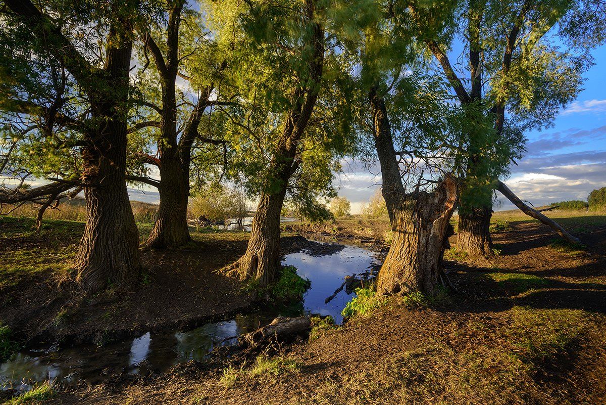 осень, речка, вечер, Владислав Никишин