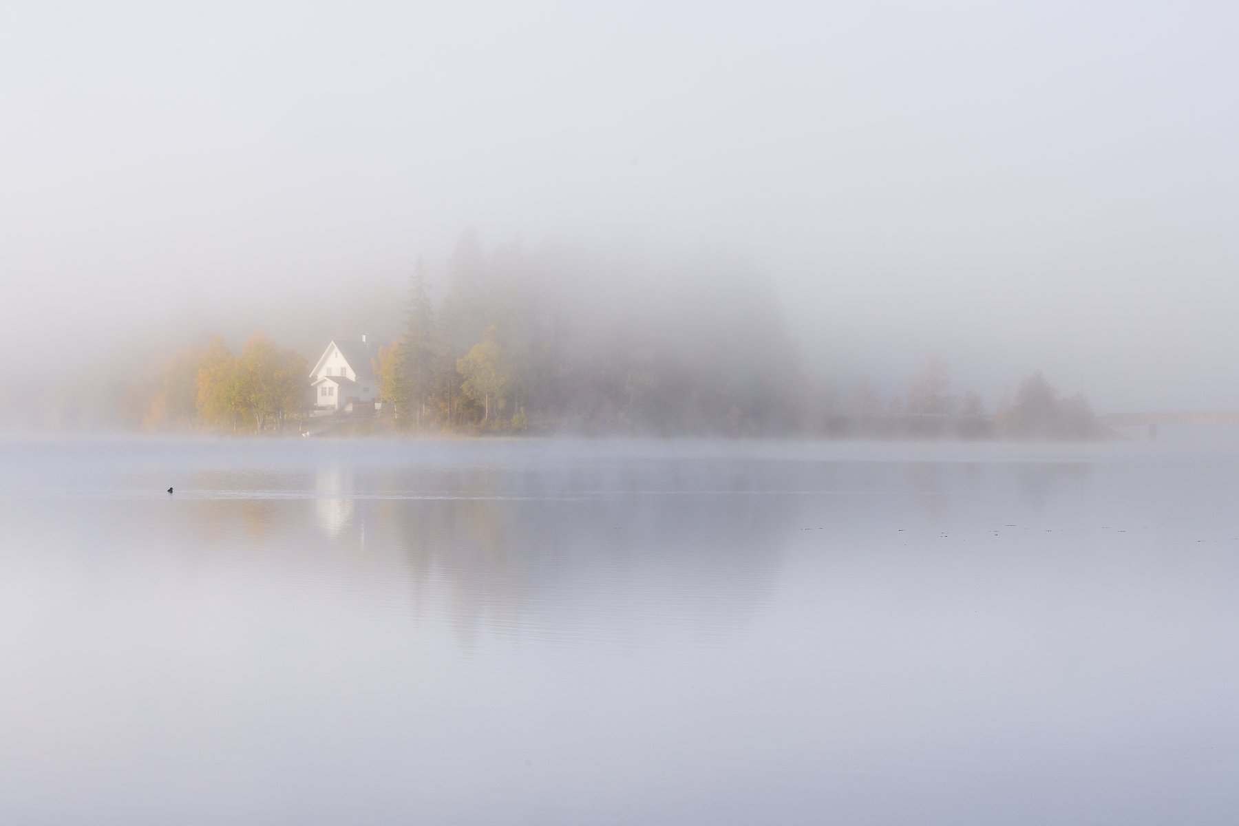 norway,morning,fog,foggy,misty,lake,lakescape,lake view,white,, Adrian Szatewicz
