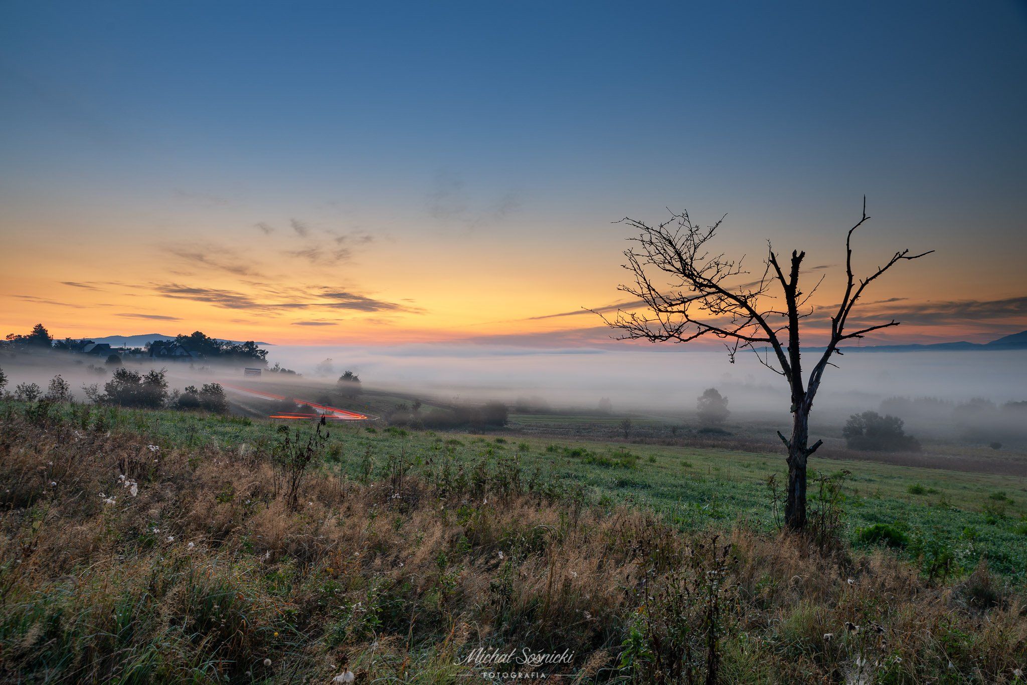 #tree #morning #poland #sunrise #fog #foggy, Michał Sośnicki