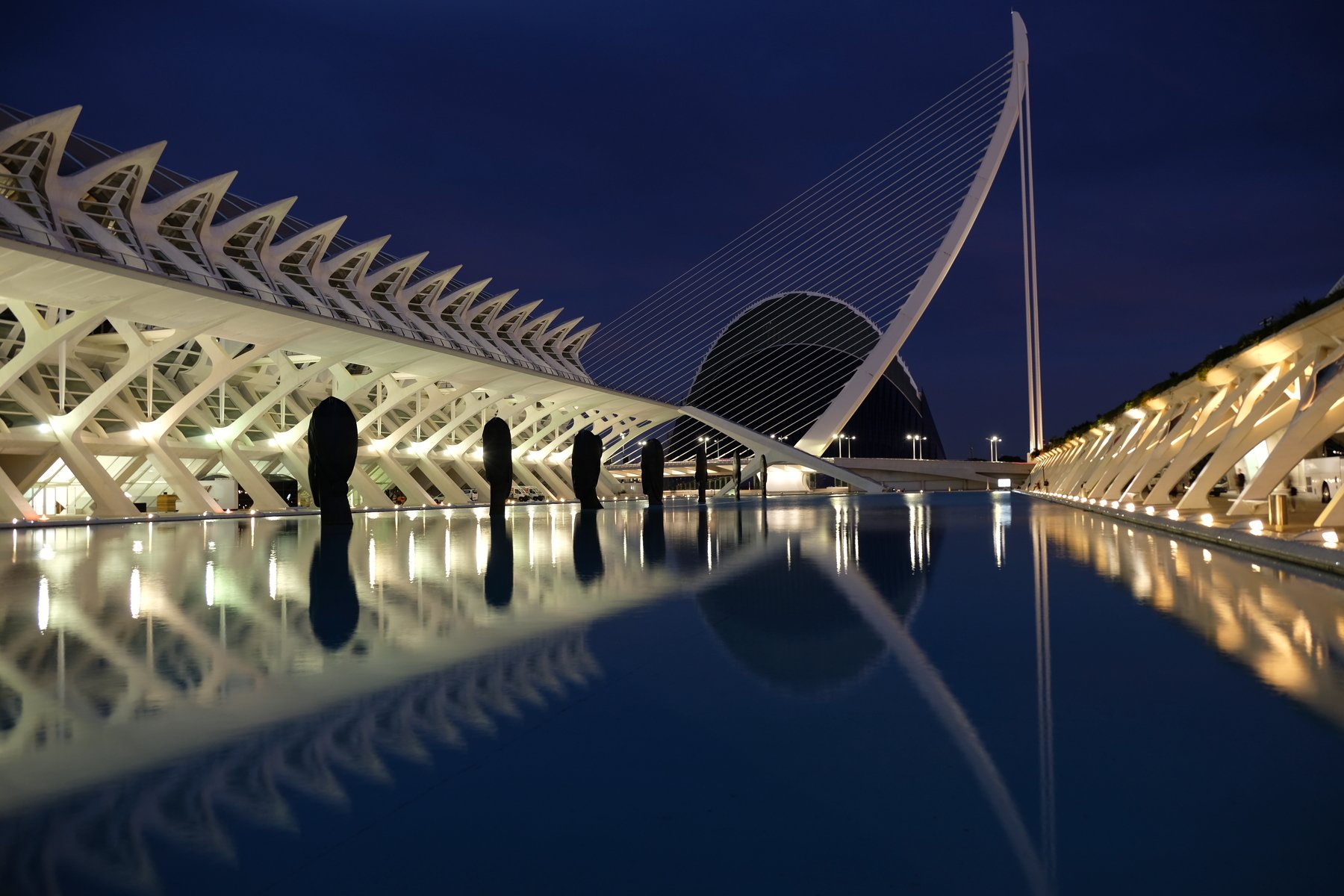 city/architecture, night, travel, Calatrava, architecture, moderne, lines, reflection, art, science, Spain, Valencia, nightlight, city, urban,, Svetlana Povarova Ree