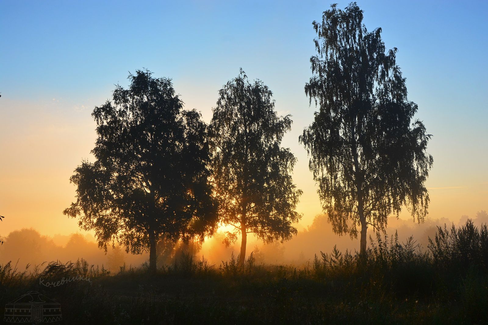 пейзаж, туман, рассвет, деревня, березы, Юлия Абрамова