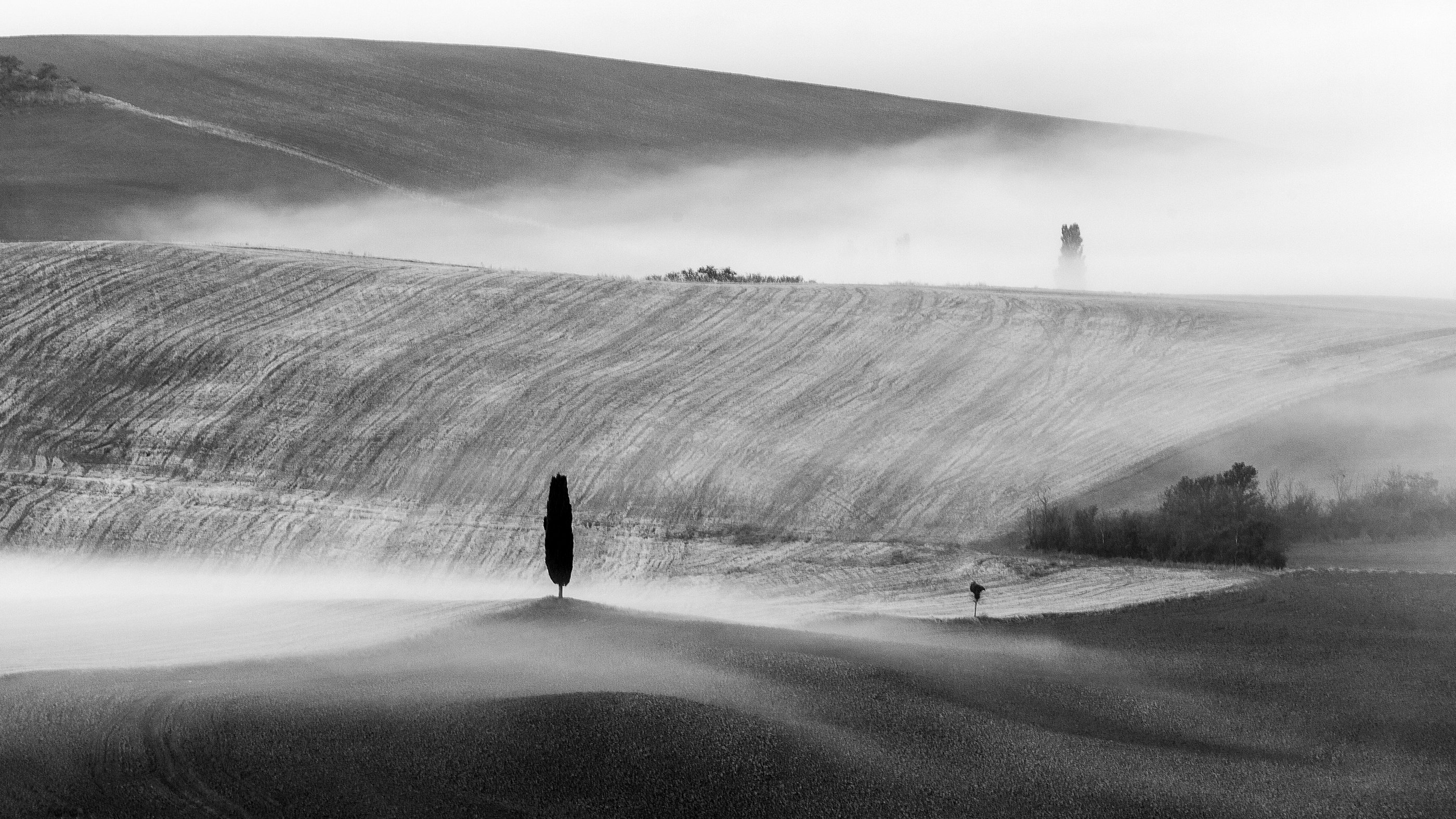 italy, tuscany, landscape, bw, fog,, Igor Sokolovsky