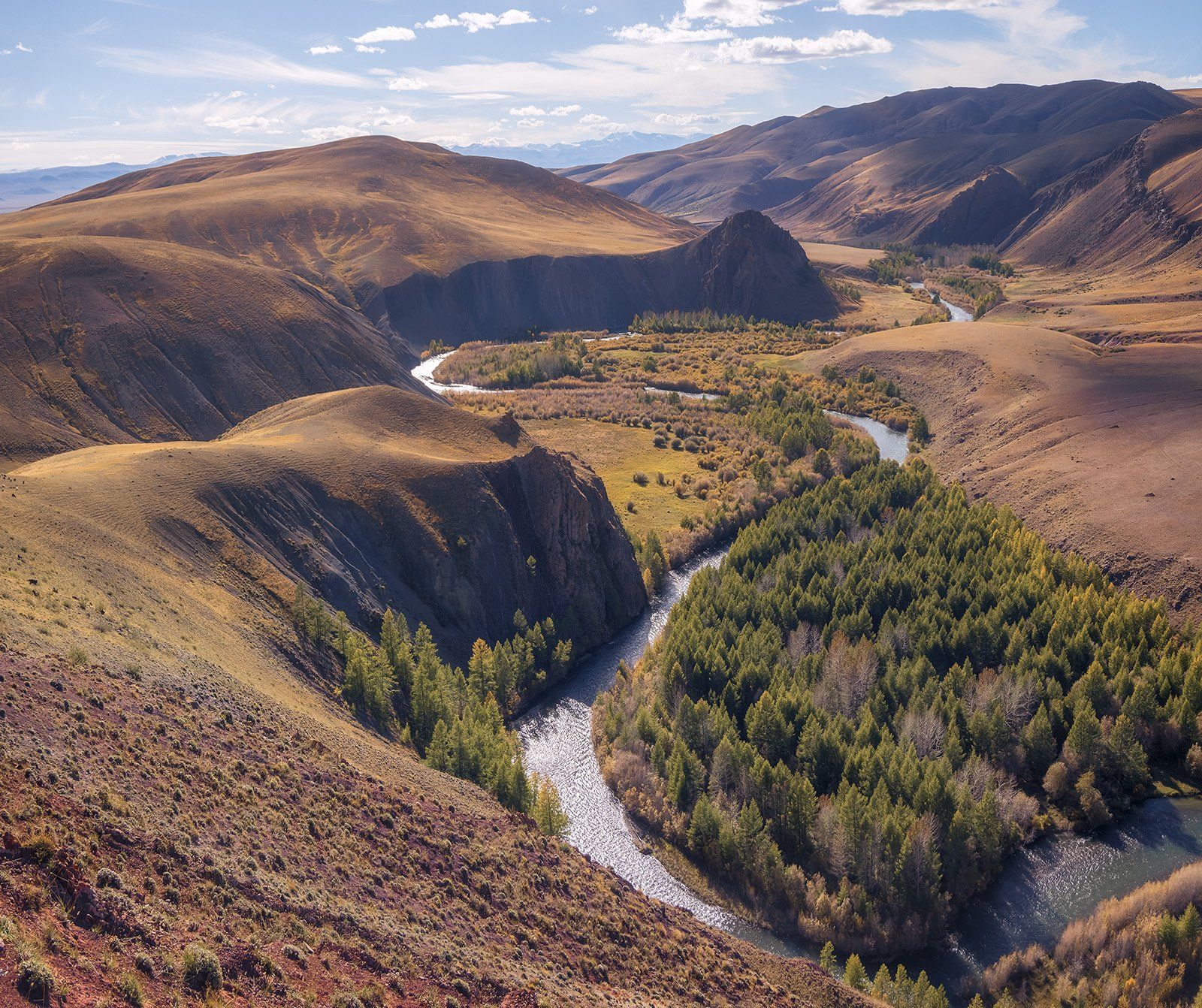 Долина реки. Кызылшин горный Алтай. Кызылшин Кокоря. Долина реки Кызыл шин. Река Кызылшин.