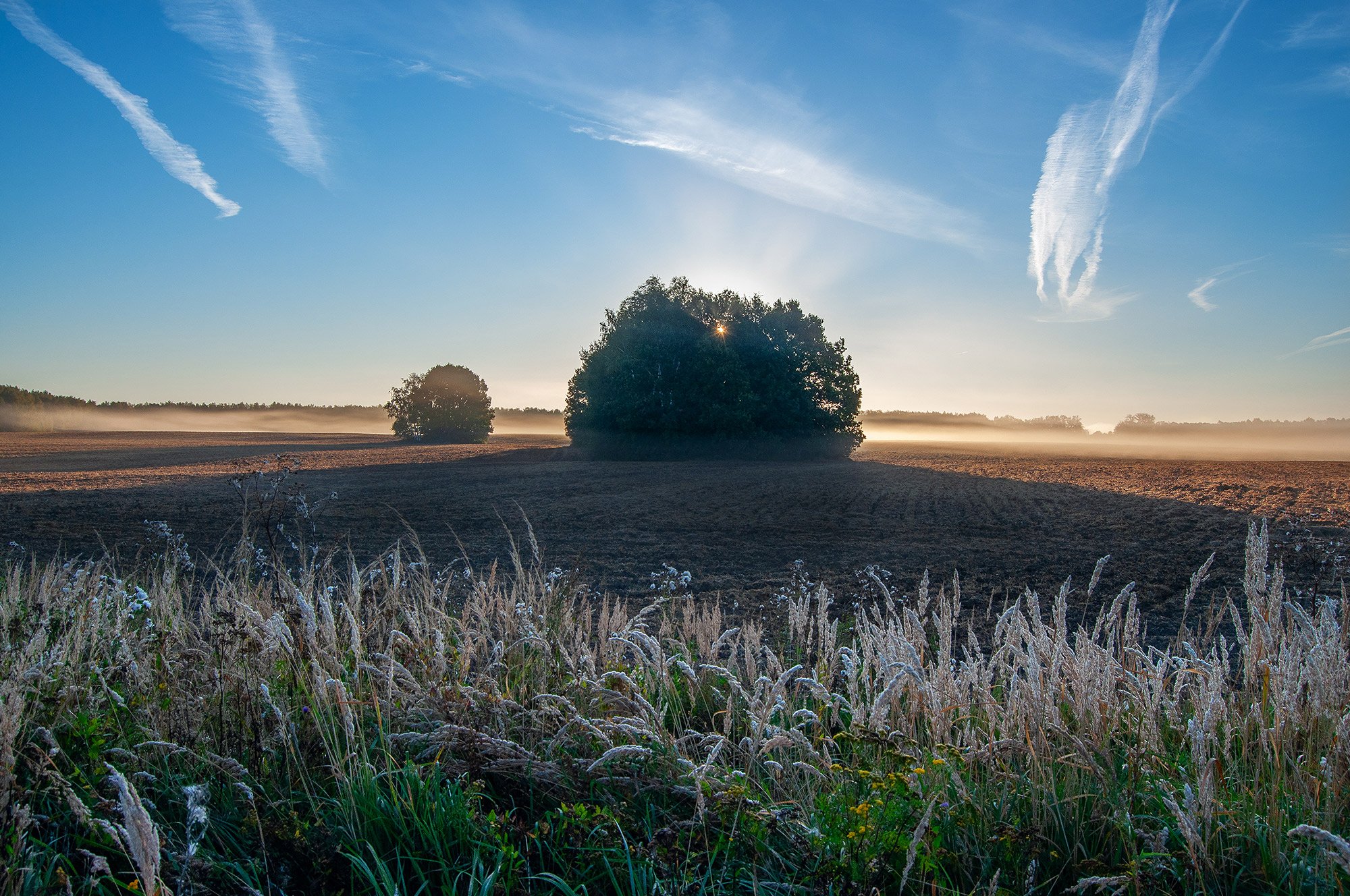 рассвет, туман, поле, утро, Andres Ganenkoff