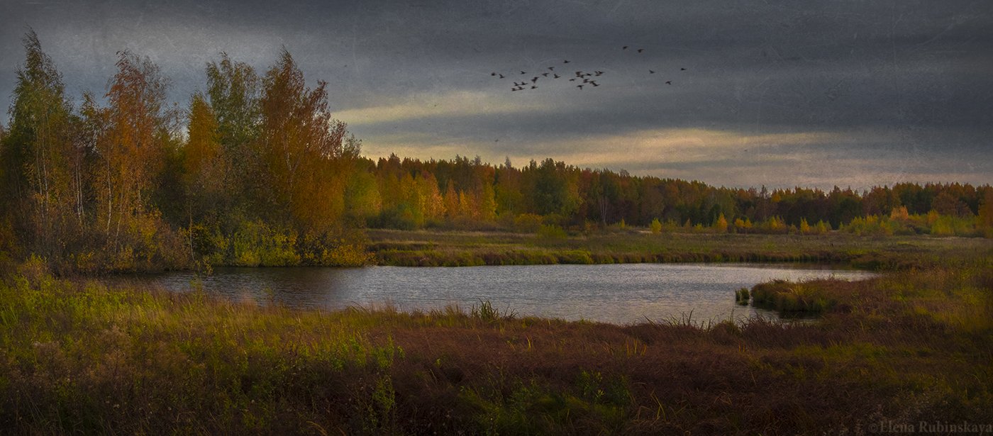 пейзаж,осень, Елена Рубинская