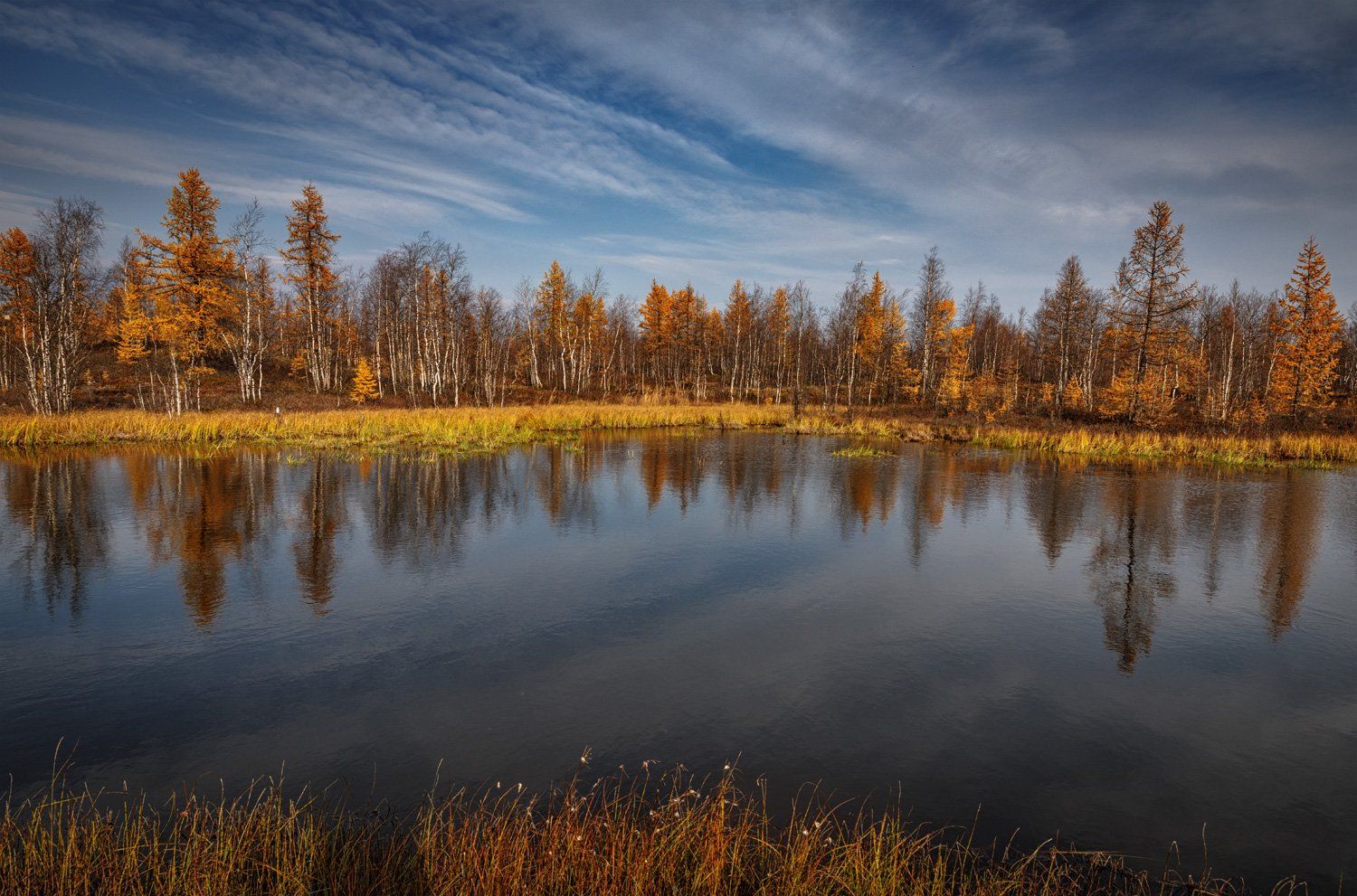 , Евгений Кужилев