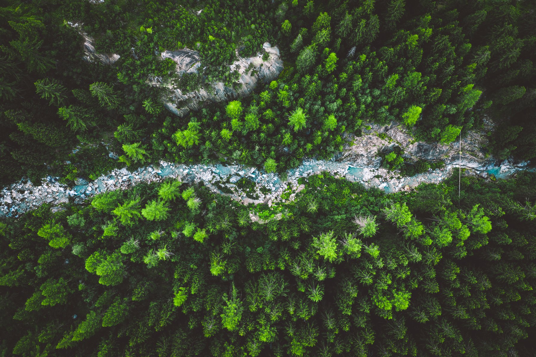 drone, mavic, dji, landscape, trees, pine , Dominik Murko