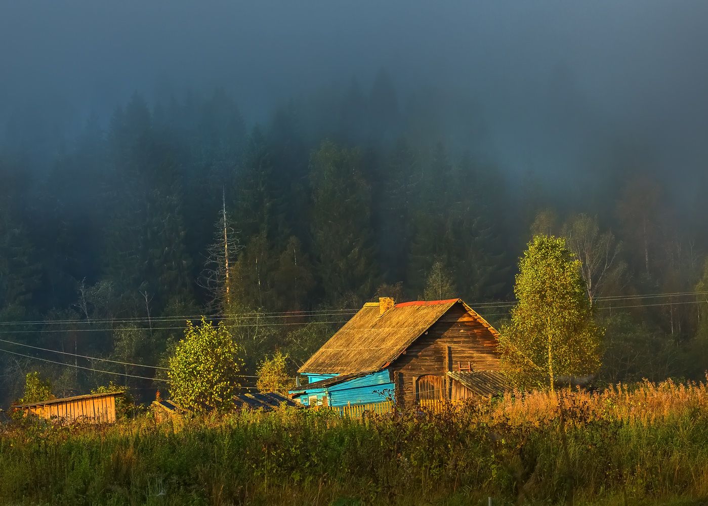 Вепсская деревня Ярославичи.. Фотограф Лашков Фёдор