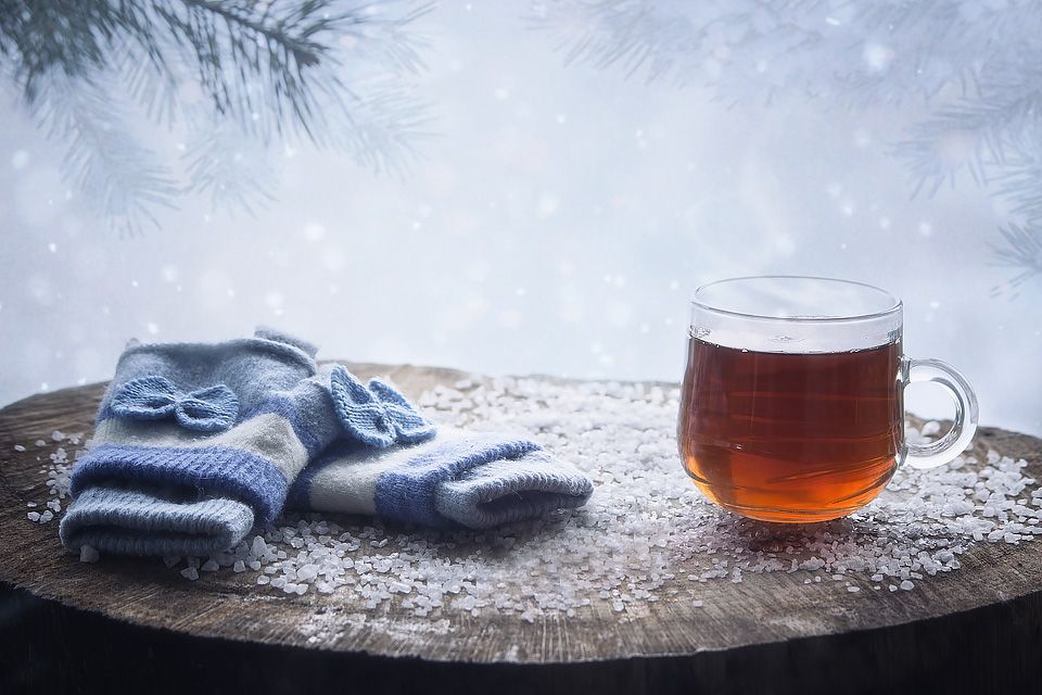 Органический чай Зимний Tea Forte купить у официального представителя
