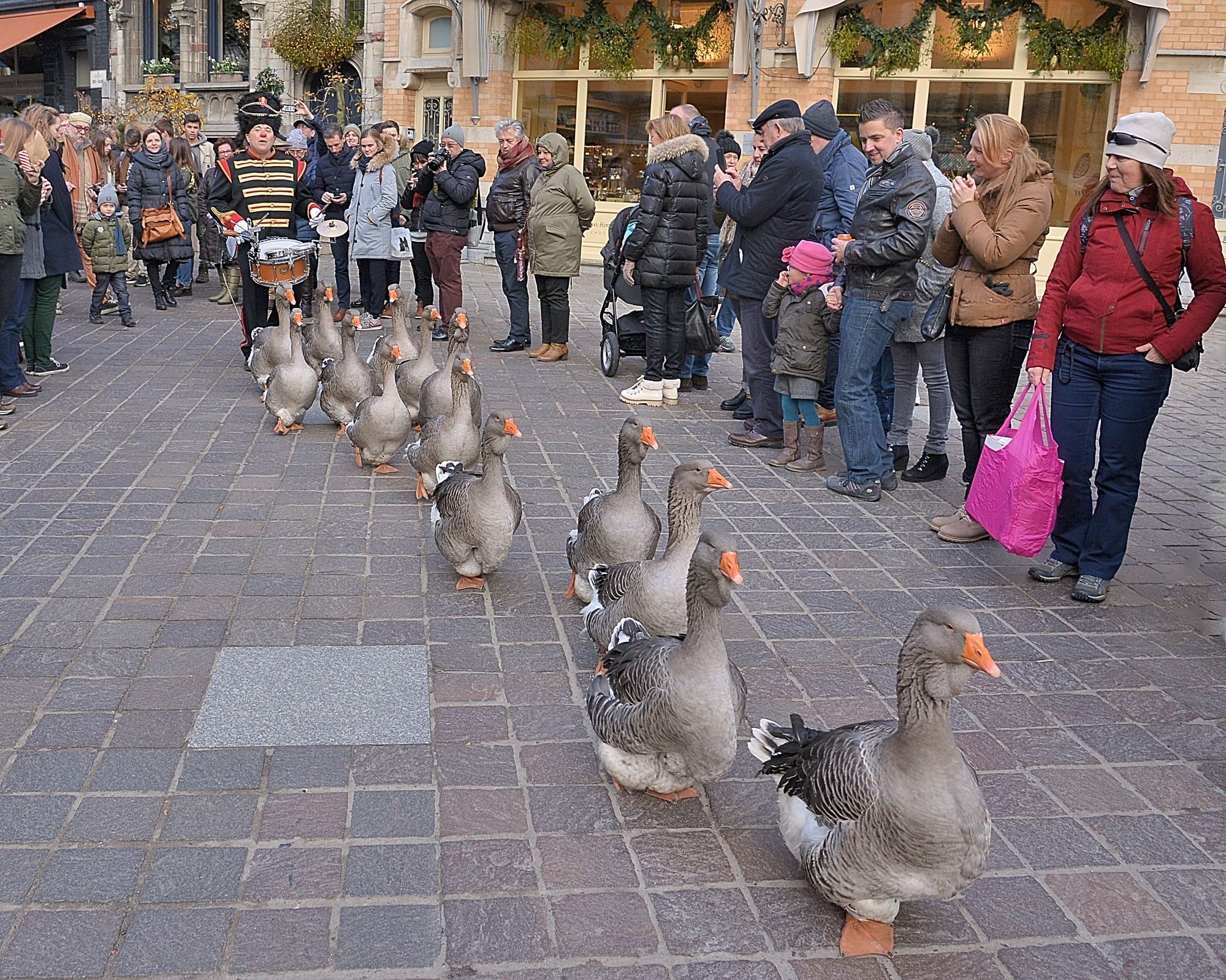 Dancing Geese 