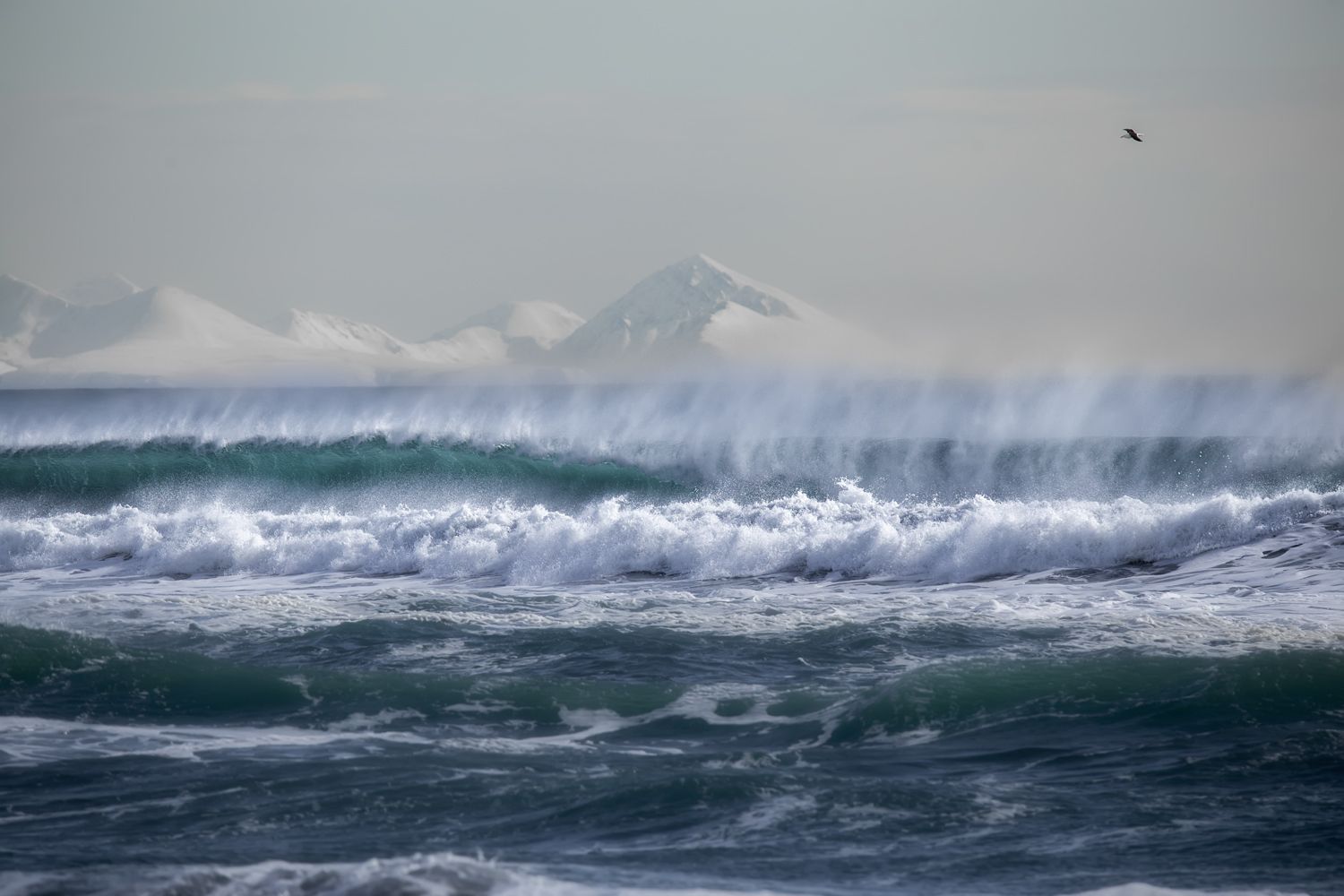 Тихий океан белый. Тихий океан Камчатка. Атлантический океан шторм. Тихий океан шторм.
