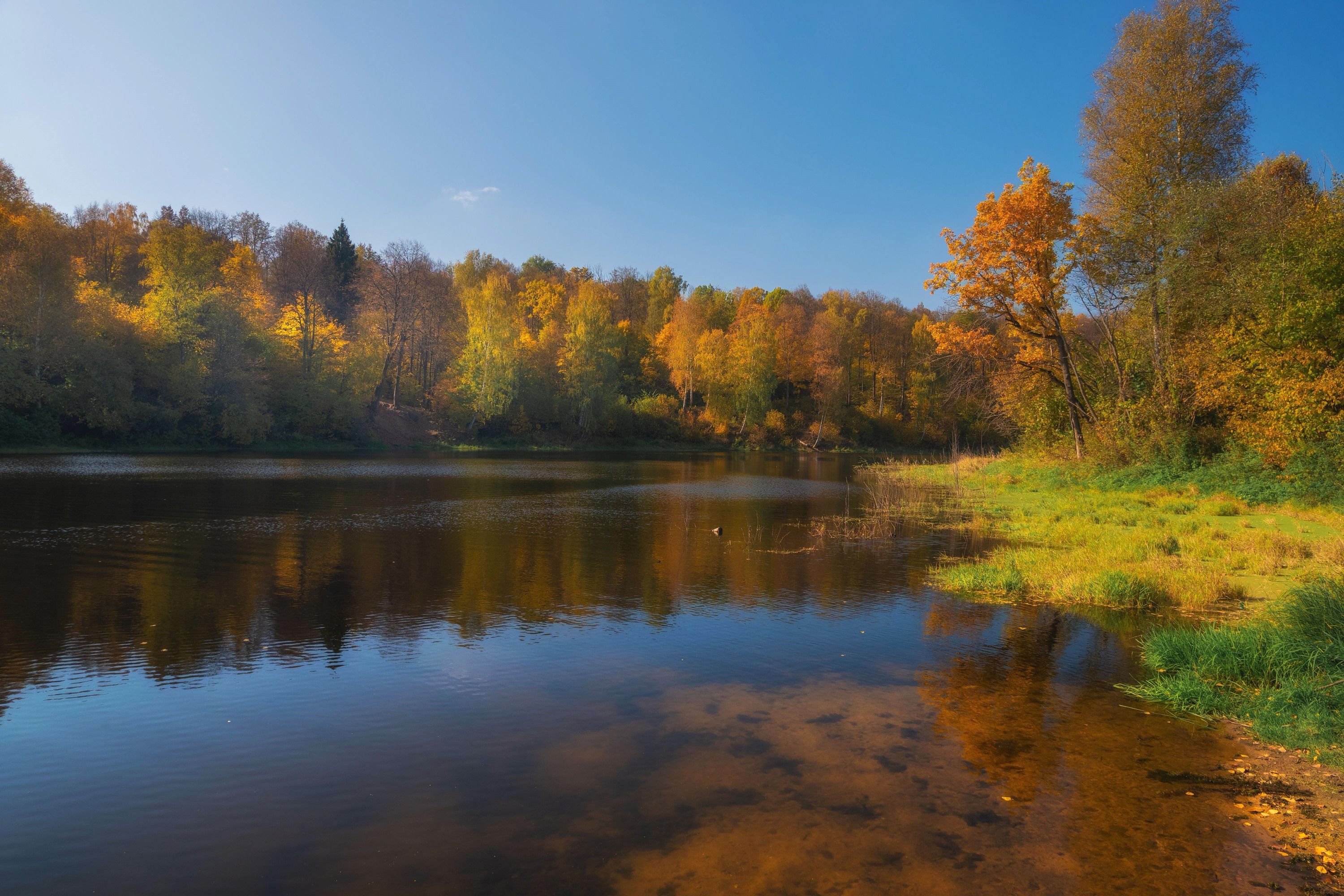 Пляж река синичка красногорск