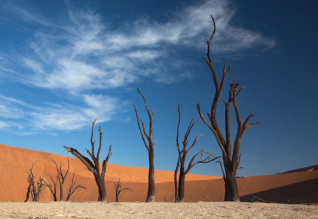 Климатические особенности природной зоны пустыни. Пустыня Намиб природная зона. Пустыня Меданос-де-коро. Климат пустыни. Климат в пустынях.